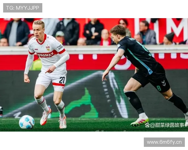 四将回归斯图加特未来何去何从 四将回归斯图加特未来何去何从